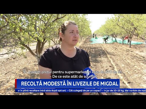 Video: Migdale și Nuci De Pin