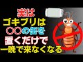 空き缶だけでゴキブリを一晩で寄せつけない秘訣。殺虫剤なしでも安心!たった100円!