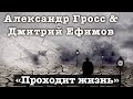 Александр Гросс и Дмитрий Ефимов- Проходит жизнь