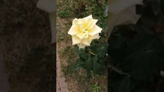 Muminun suresi son kısım meali