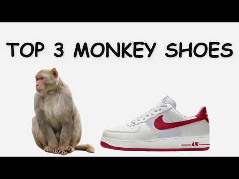primate shoes