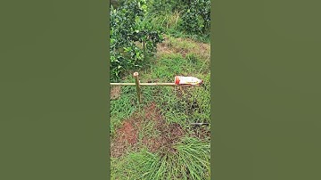 The effect display process of the hydraulic bird repellent device