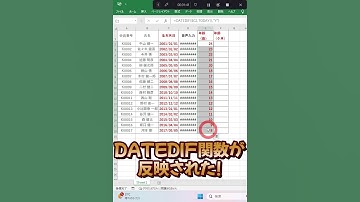 #shorts【Excel】【DATEDIF関数】超時短！名簿作成に役立つ！生年月日から今日時点の年齢を瞬時に算出