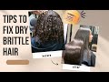 4 EASY Tips to Repair DRY/BRITTLE Hair | AMIKA Products on Natural Hair