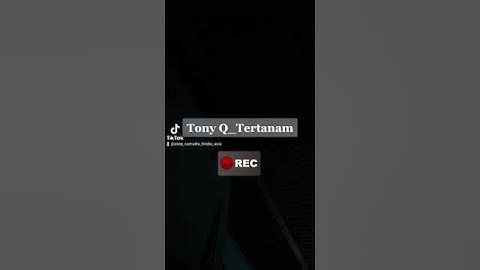 Tony q rastafara - Tertanam