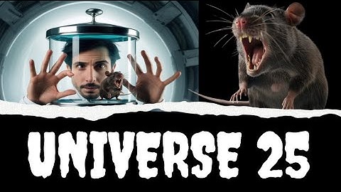 UNIVERSE 25 Experiment -  The Mouse Utopia that became a WARNING 🐁