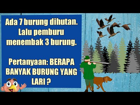 95 ORANG SALAH JAWAB Teka  Teki  Logika Yang Hanya Bisa 