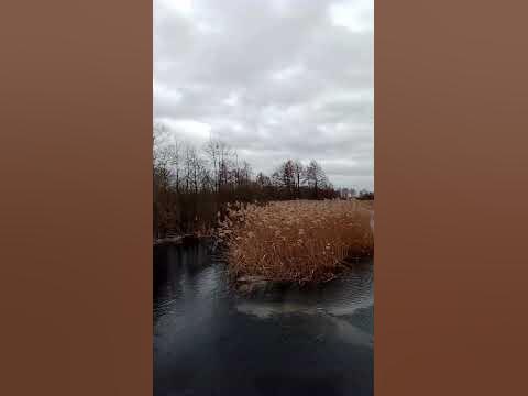 Краса природи та прекрасний краєвид - YouTube