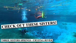 Three Sisters Springs  Water Access