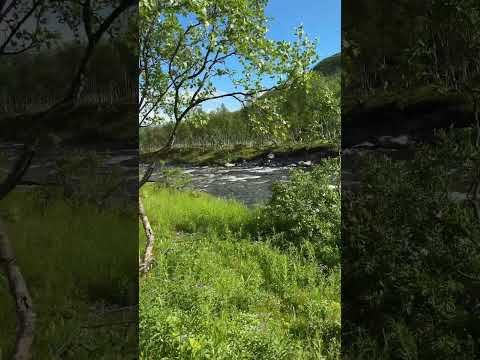 Ein wunderschöner Sonntag Morgen unterwegs Richtung Nordkapp Norwegen ????????