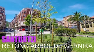 EL RETOÑO DEL ARBOL DE GERNIKA EN SANTURTZI