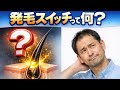 発毛スイッチって何?最近よく聞くけど、正直ここまで分かってます