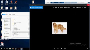 Matlab ile Convolutional Neural Network Ders-2 Pretrained model kullanımı