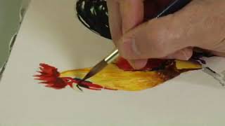 Watercolor Painting: A Rooster's Eyes