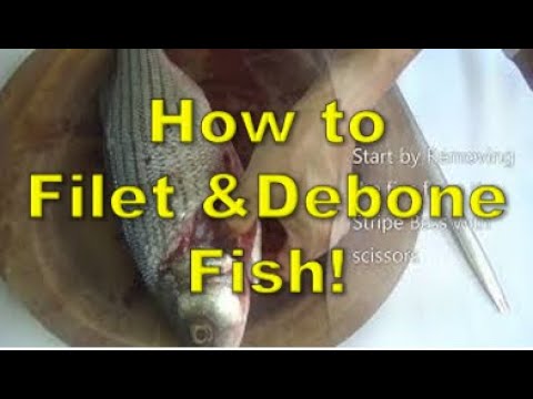 Filet and Debone Fish - Ny the Cook