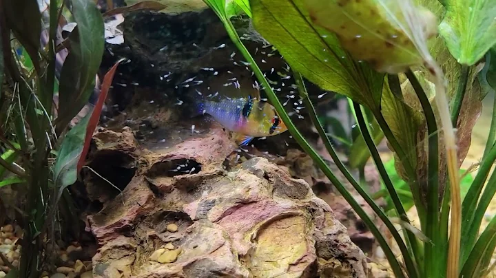 Mother's Day Suprise!