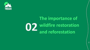1.2. The importance of wildfire restoration and reforestation