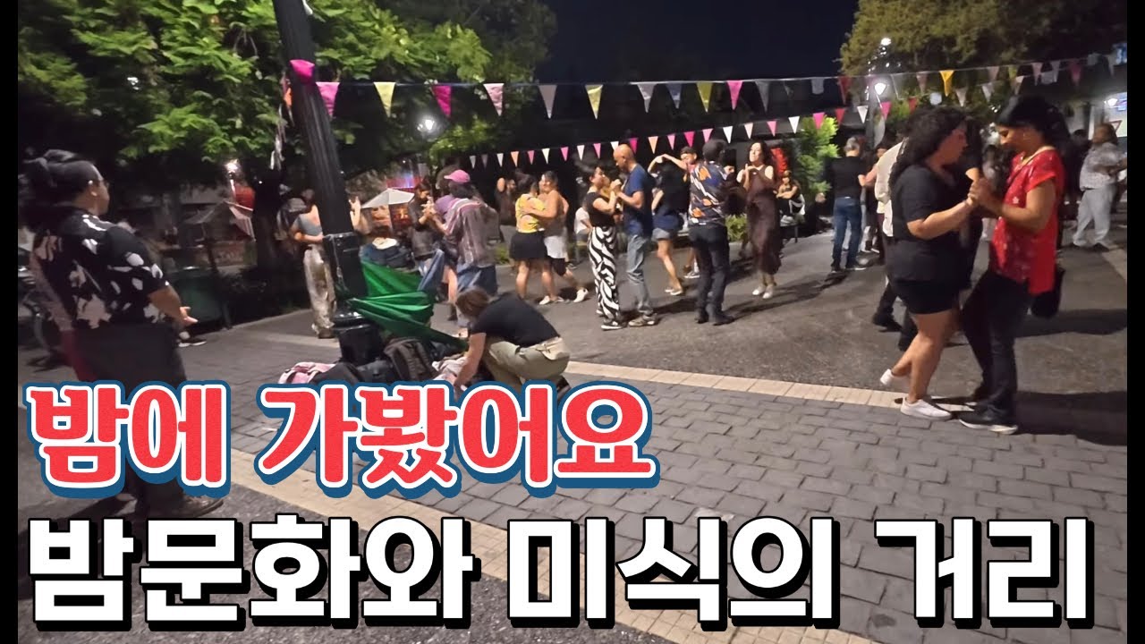 [103]🇨🇱베야비스타지구는 활기찬 문화예술의 중심지|칠레19