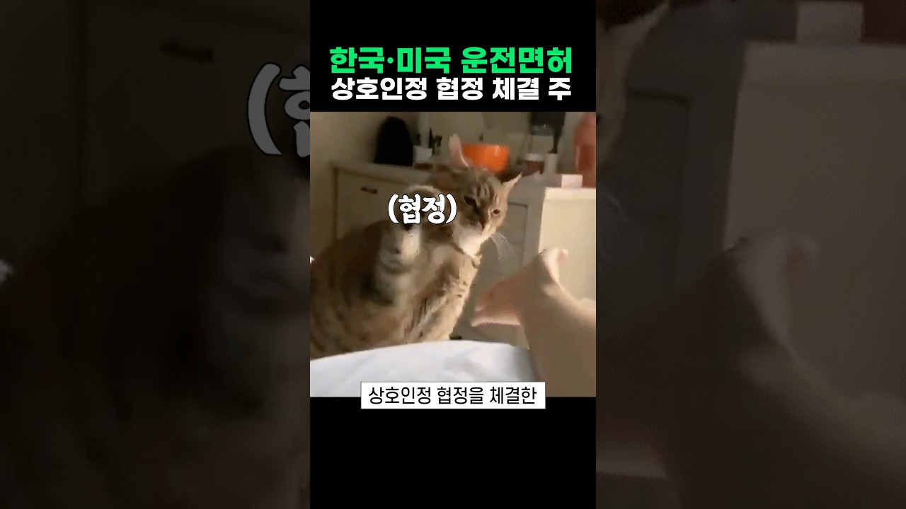 한국 운전면허증 미국에서도 사용 가능한 이유