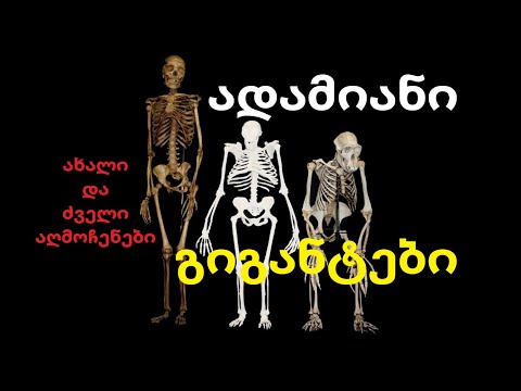 ადამიანი გიგანტების რასა