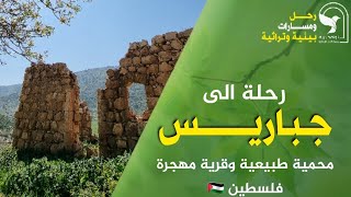 جباريس: صيدلة الفلاح الفلسطيني وارث حضاري منسي