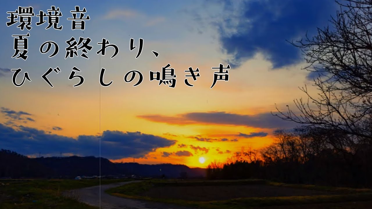 ヒグラシの鳴き声　夏の夕暮れ
