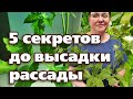 НЕ ВЫСАЖИВАЙТЕ РАССАДУ, ПОКА НЕ СДЕЛАЕТЕ ЭТО!