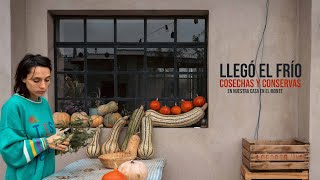 Llegó el FRÍO a nuestra CASA DE MONTE ☁ Cosecha de zapallos, conserva de tomates verdes y fueguito