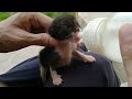 4 Days Old Orphan Kittens Were Rejected By Nursing Cat After Adoption Now They Are On Bottle Feed