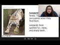 Survival Strategies of Porcupines in Forest Ecosystems