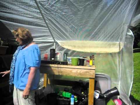 Deborah Mills- psychic  Introducing the greenhouse