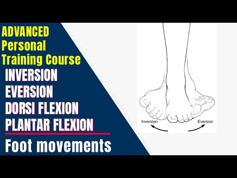 PLANTAR FLEXION || DORSI FLEXION || INVERSION || EVERSION || foot ...