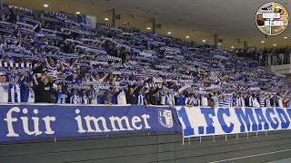 FC Magdeburg Ultras supporting their U-15 team #worldofultras