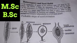 Heterospory and Seed habit in plant