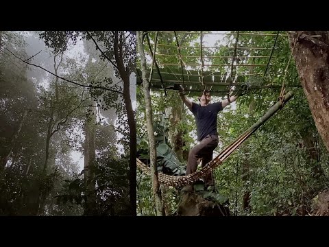 Survival Instinct, Facing The Harsh Nature In The Tropical Rainforest, Wilderness Alone (ep39)