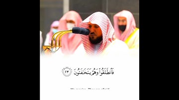 تلاوة خاشعة من سورة القلم لفضيلة الشيخ د.ماهر المعيقلي