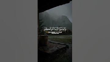 سورة الأنفال تلاوة خاشعة بصوت صلاح باعثمان