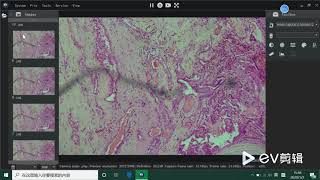 How to Burst by MSHOT software