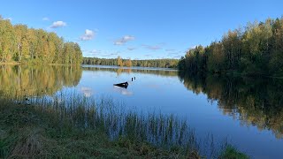 Урок 97 (4). Разница между Махамудрой и Йогой совозникновения