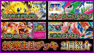 専用 バチュルバレットデッキ リザードンドラパルト mqdefault.jpg
