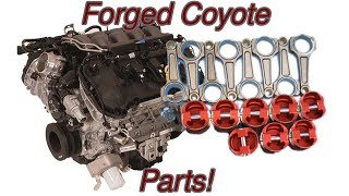 Gen 3 Ford 5.0L coyote Engine Build Assembly Pt1