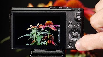 Panasonic LUMIX DMC-LX10 Display Settings
