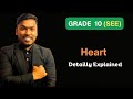 Heart | Class 10 | Science | Physiological Structure and Life Process | SEE | Part 2