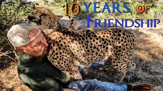 10 Year Friendship With Gabriel The Cheetah | How BIG CAT Shows Affection Purr Play Fight &amp; RUBS!