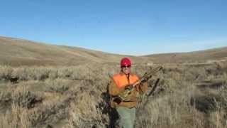 Hanree Ghores Pheasant Hunting In Oregon At Treo Ranch