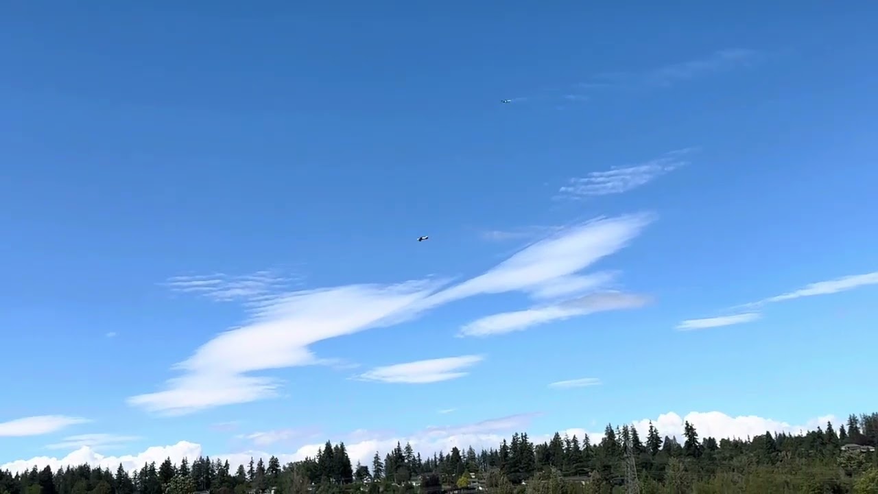 My FMS F3A's First Flight in Canada