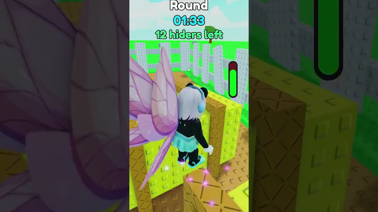 Combo Finds Coco?! 😳🐼 | Fly Hide and Seek - YouTube