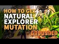 Natural explorer mutation grounded