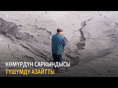 Video: Түшүмдү кол чатырдан куткаруу