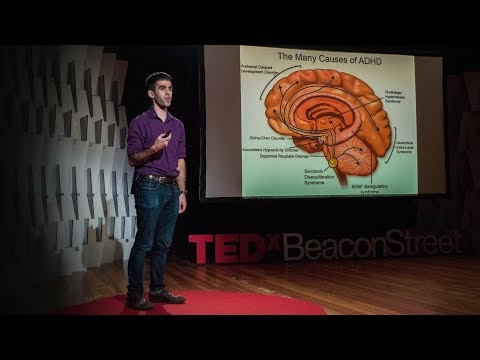 What we&rsquo;ll learn about the brain in the next century | Sam Rodriques